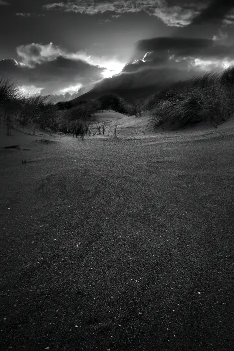 Untitled Dunescape 1