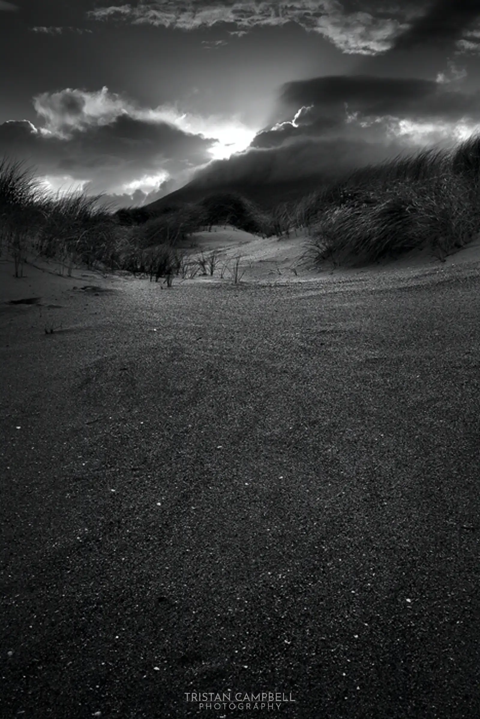 Untitled Dunescape 1