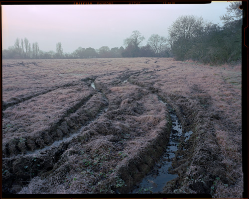 Edge Land:  a close up of a dirt field