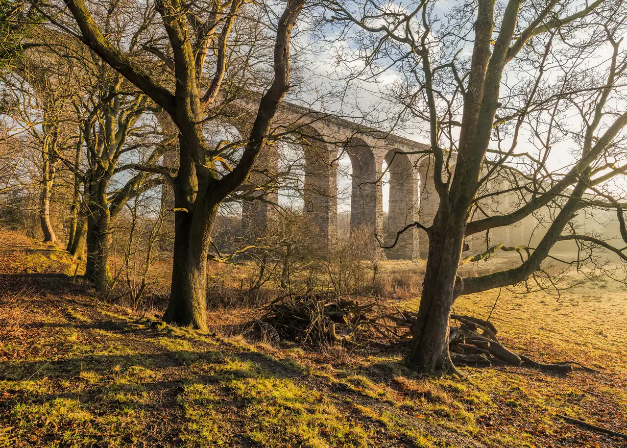 A stone viaduct with multiple arches spans across a misty landscape in the background. In the foreground, large leafless trees cast long shadows on the grassy and earthy ground, illuminated by warm, low sunlight. Sparse bushes and fallen branches are scattered around, creating an autumnal atmosphere.