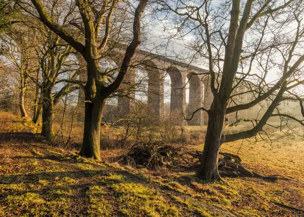 A stone viaduct with multiple arches spans across a misty landscape in the background. In the foreground, large leafless trees cast long shadows on the grassy and earthy ground, illuminated by warm, low sunlight. Sparse bushes and fallen branches are scattered around, creating an autumnal atmosphere.