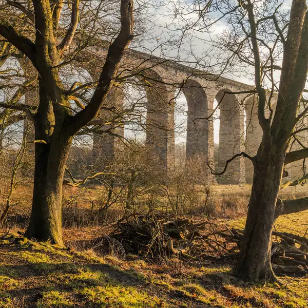 Crimple Viaduct Winter Morning