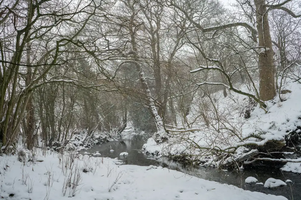 Snow-covered woodland scene with a narrow stream running through the centre. Bare tree branches extend overhead, dusted with snow. The ground and surrounding banks are blanketed in snow, and some patches of ice are visible in the stream. The scene is calm and wintry, with a subtle grey sky in the background.