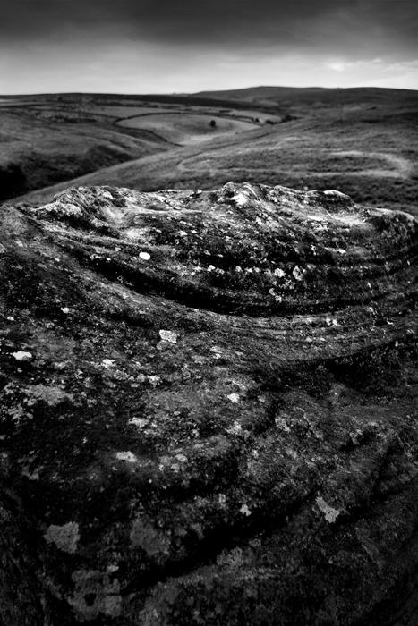 Whit Moor
