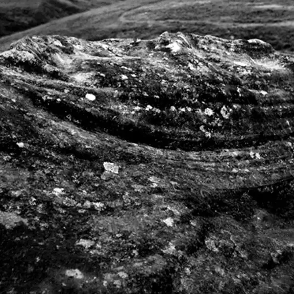 Whit Moor (3)