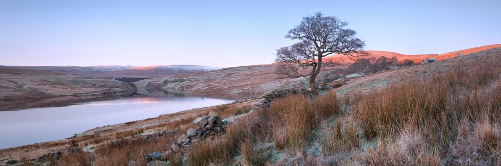 December frost