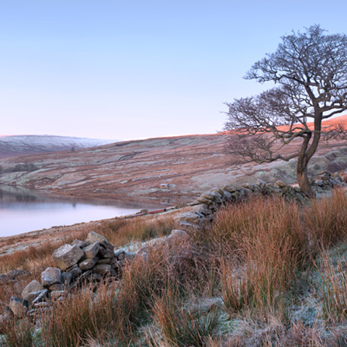 December frost: December frost
