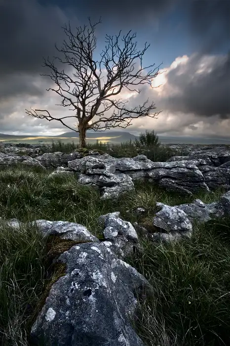 All that remains