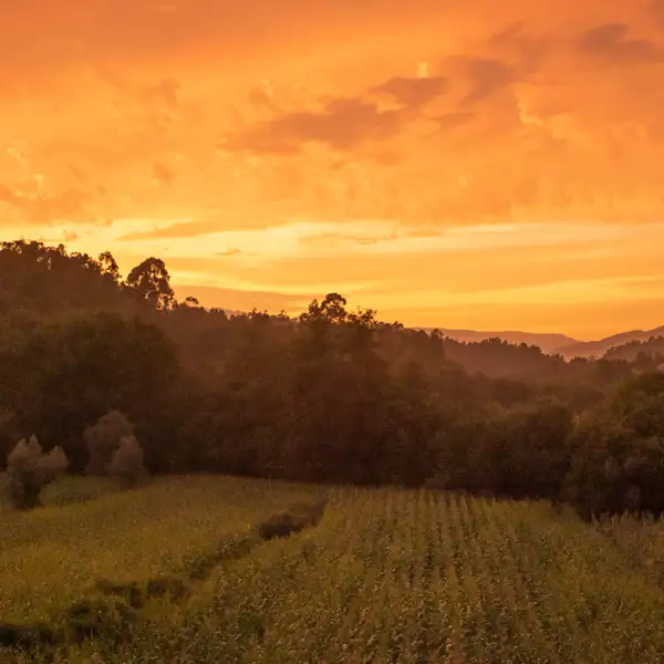 Vivid sunset in Portugal