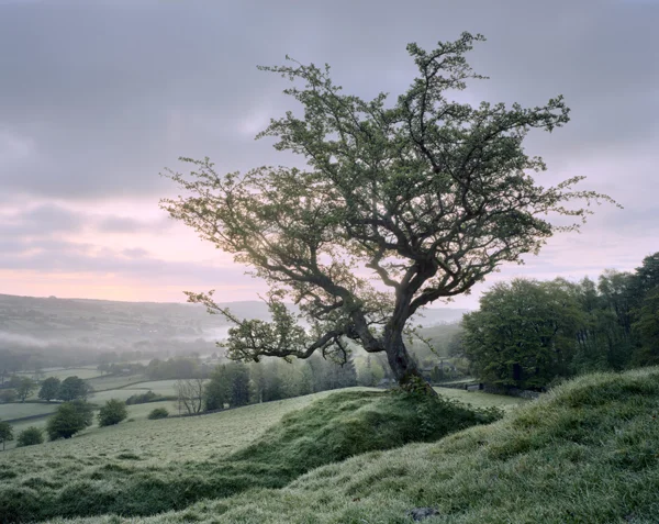 Early Autumn Dawn