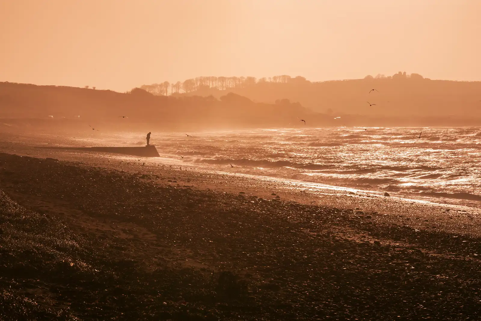 Rocky shoreline bathed in warm, golden light from the setting sun. Waves gently lap against the shore, reflecting the sunlight. A person stands on a small pier, looking out over the sea, with several birds flying near the water. Distant hills provide a hazy backdrop.
