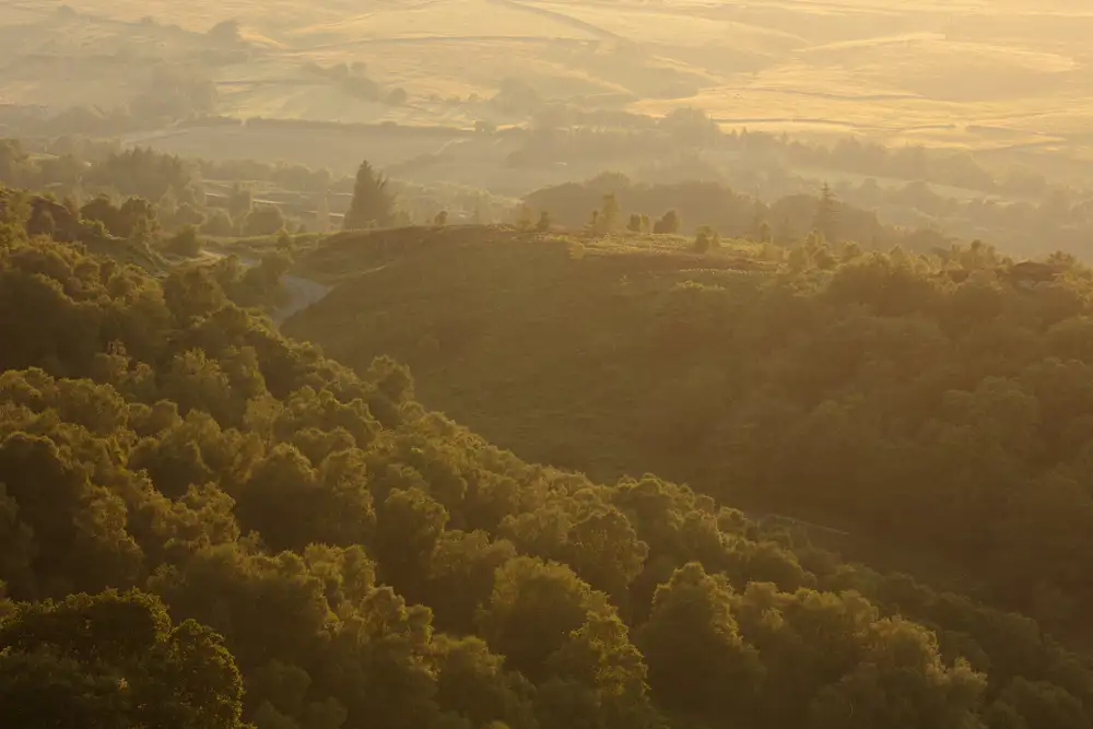 Rolling hills covered in dense, lush green forests, softly illuminated by the golden light of a setting sun. The scene is tranquil with a winding road cutting through the landscape, and the distant hills appearing hazy at the horizon. Shadows create contrast, highlighting the undulating terrain.
