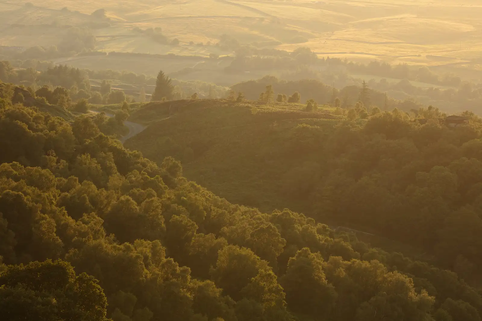 Rolling hills covered in dense, lush green forests, softly illuminated by the golden light of a setting sun. The scene is tranquil with a winding road cutting through the landscape, and the distant hills appearing hazy at the horizon. Shadows create contrast, highlighting the undulating terrain.