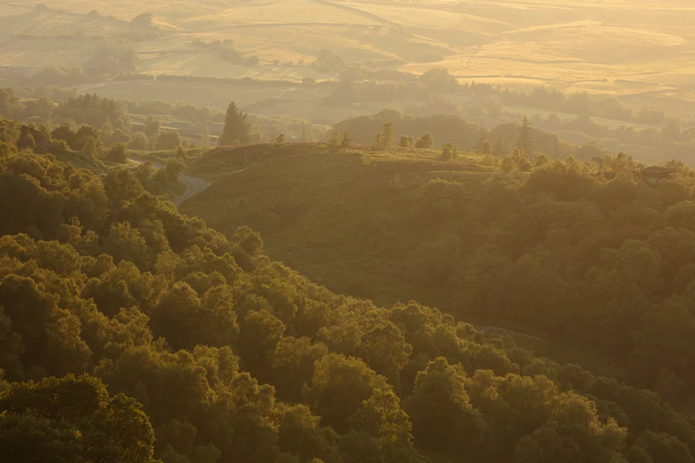Wooded valley and rolling hills bathed in golden summer dawn light with hazy mist over distant farmland