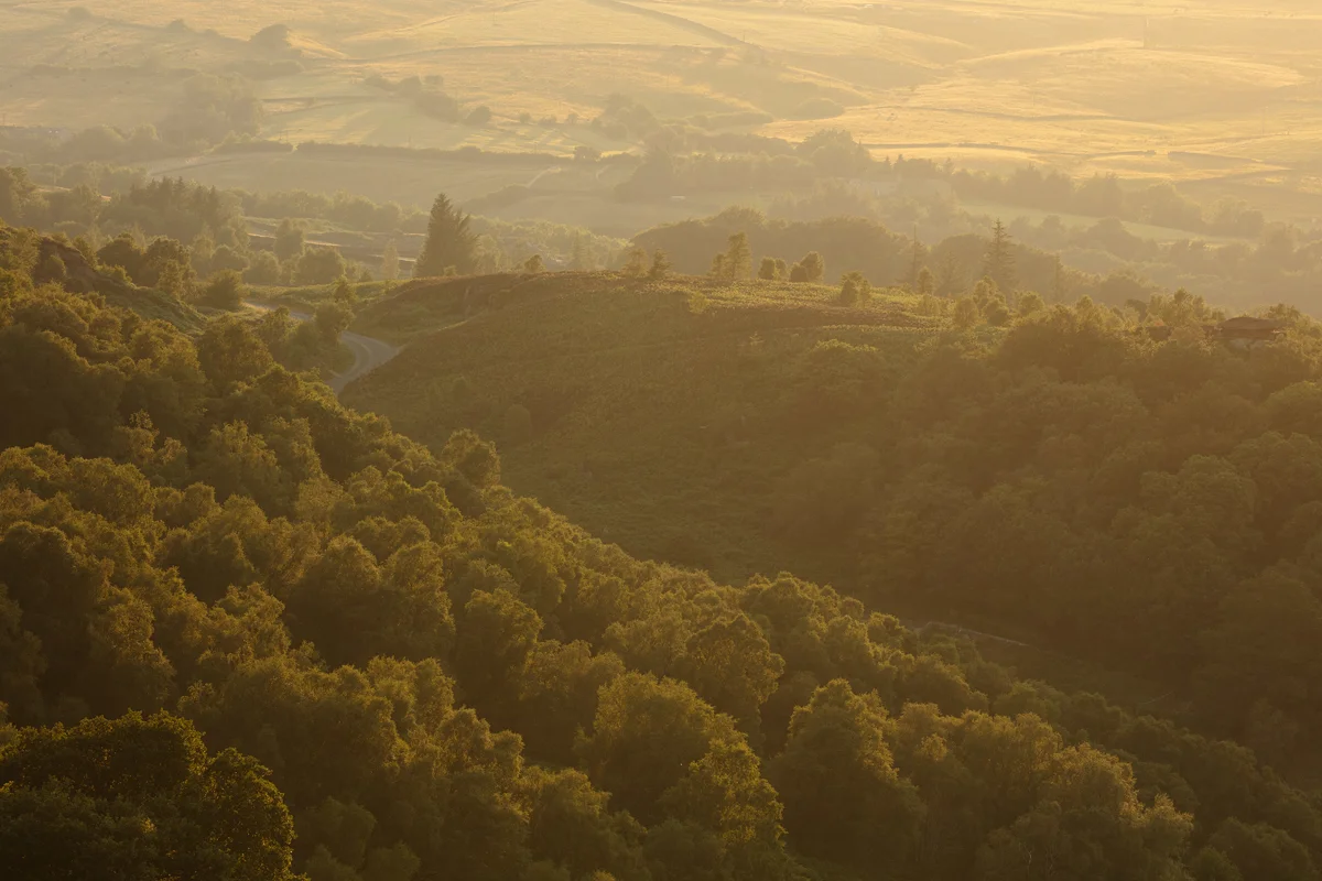 Wooded valley and rolling hills bathed in golden summer dawn light with hazy mist over distant farmland