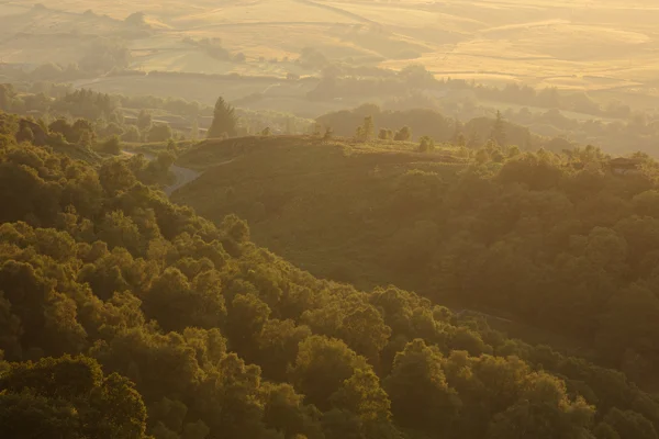 Wooded valley and rolling hills bathed in golden summer dawn light with hazy mist over distant farmland
