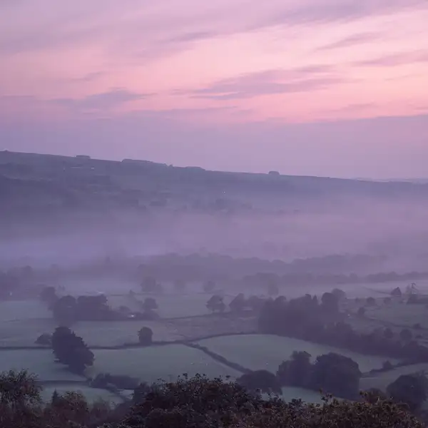 Autumn Dawn Mist
