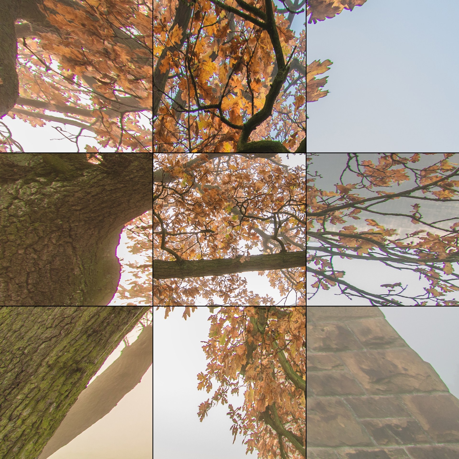 Canon 11-24mm f/4 L lens image quality at 11mm f/8