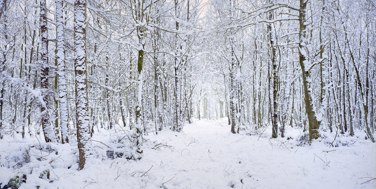 The world begins to freeze