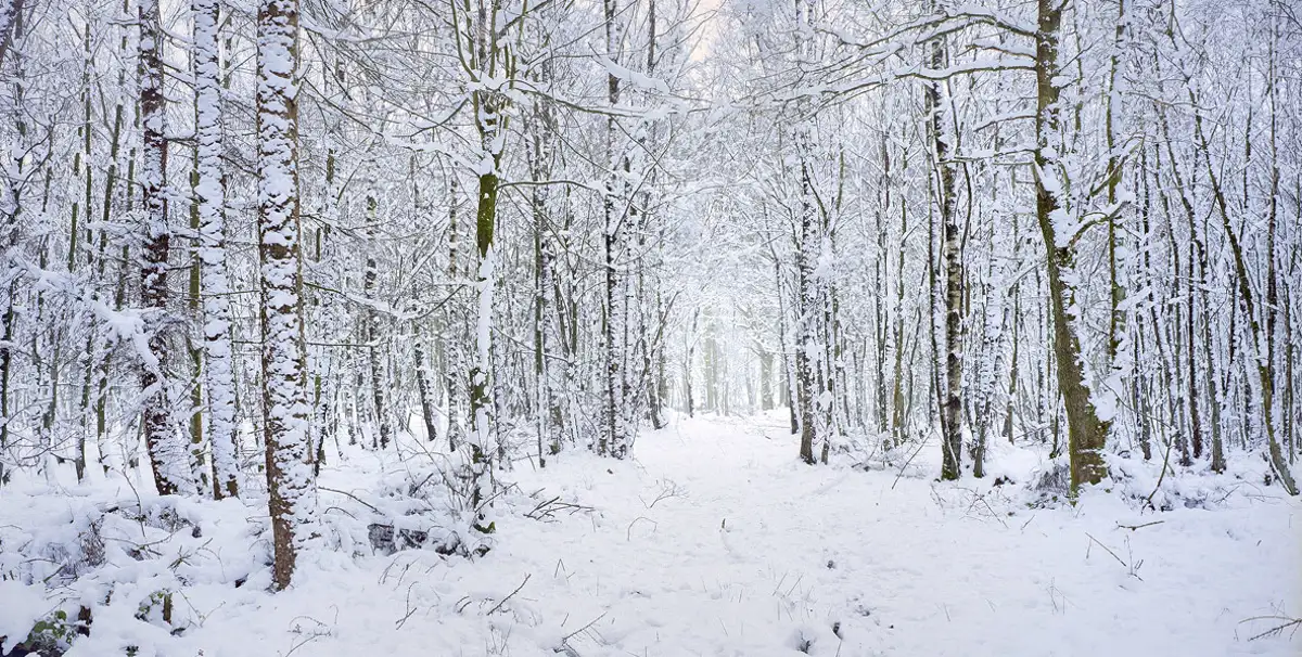 The world begins to freeze