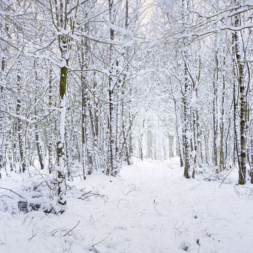 The world begins to freeze: The world begins to freeze