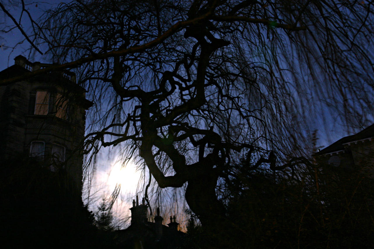 Moonset, Harrogate