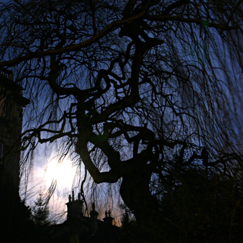 Moonset, Harrogate: Moonset, Harrogate