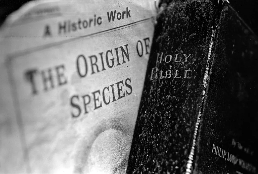 Bible Black