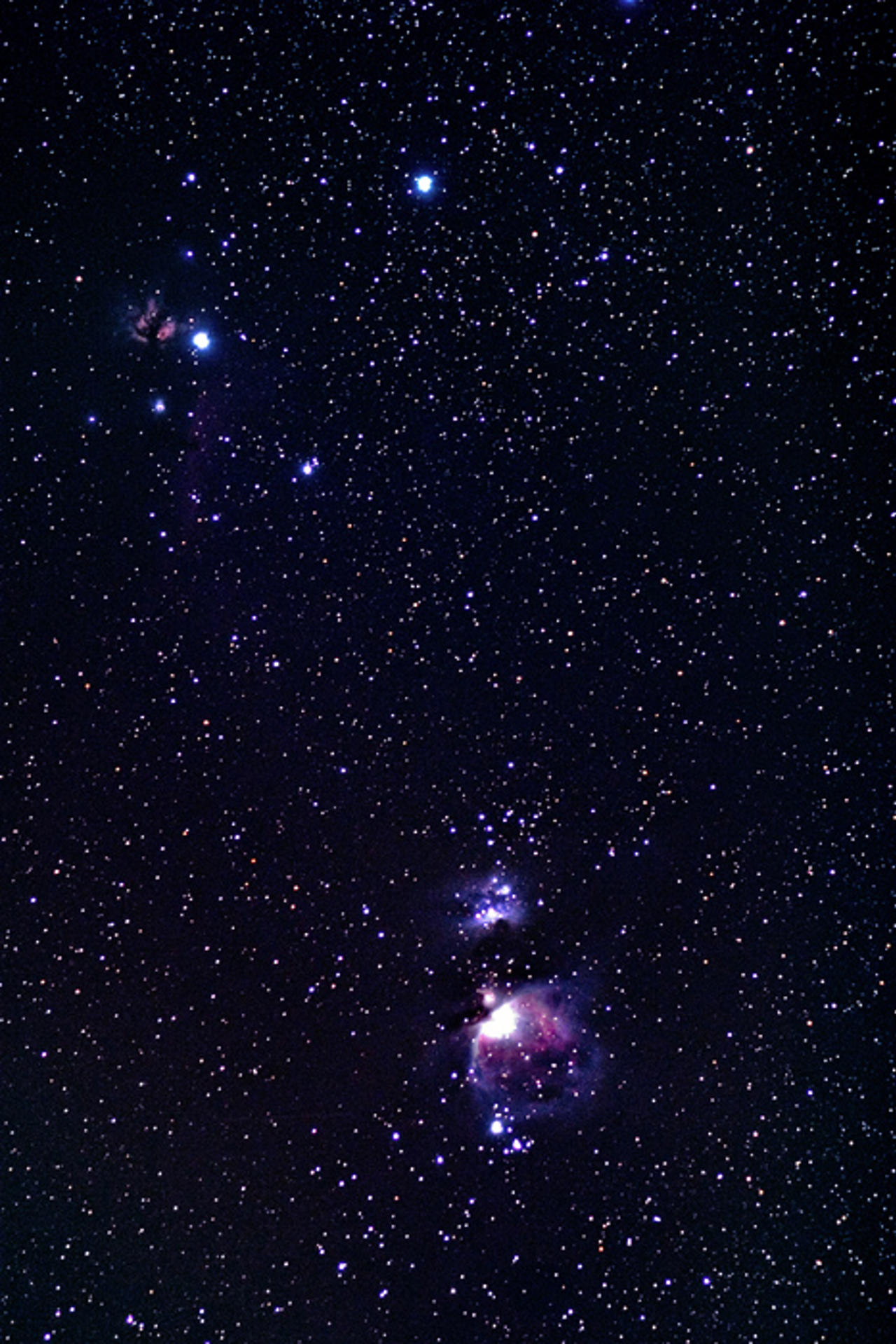 Orion