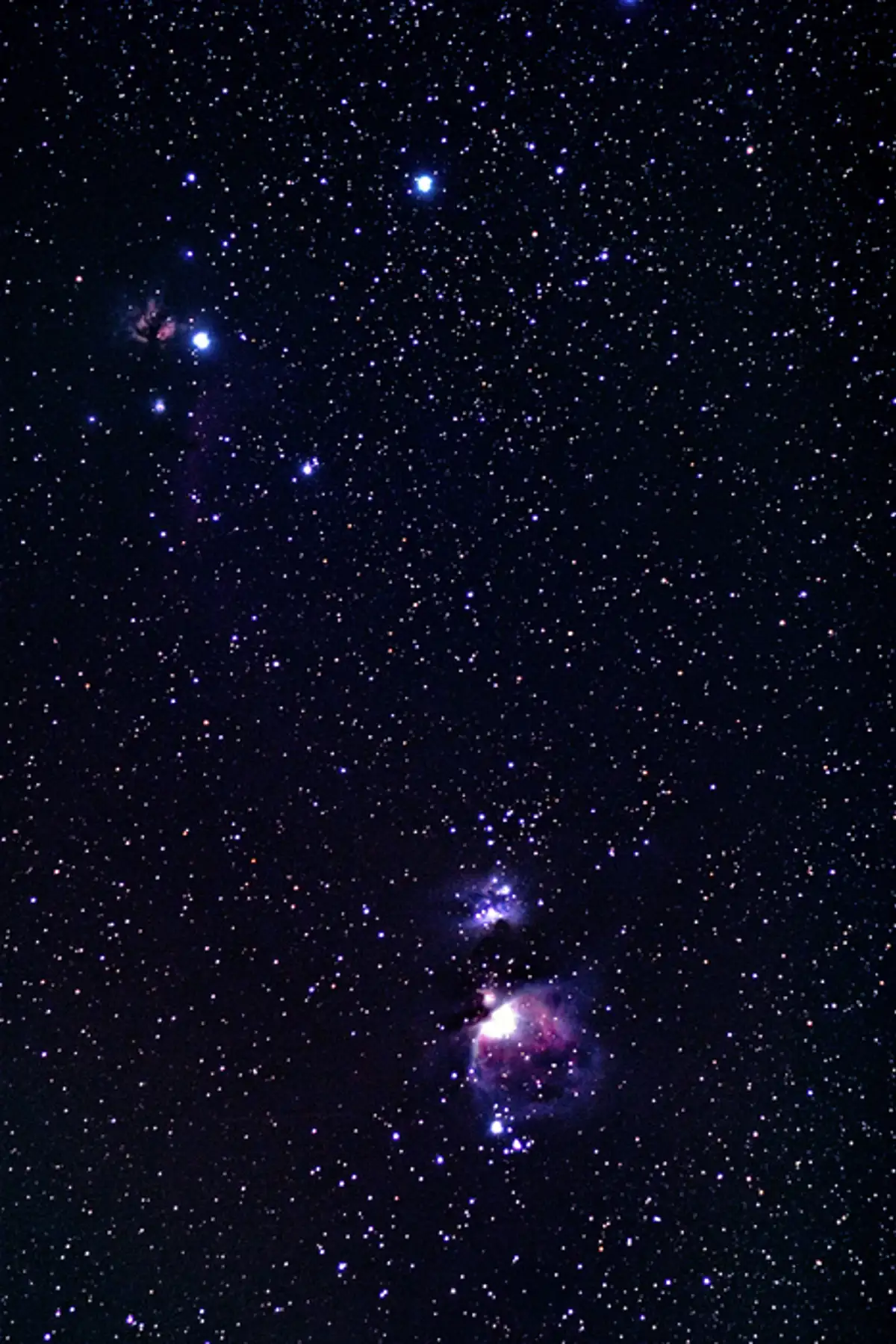 Orion