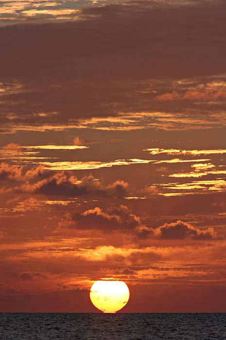 Dawn