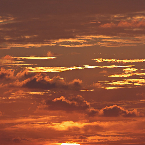 Dawn: Dawn