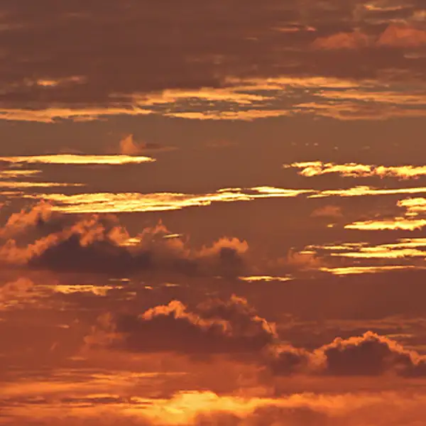 Dawn