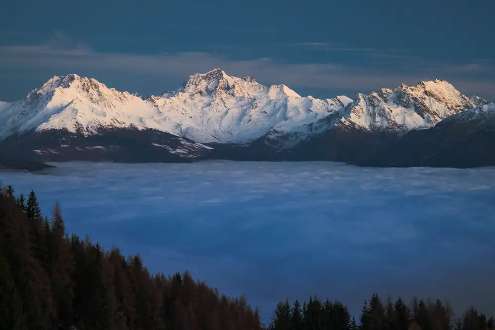 Snow-capped mountains bathed in warm sunlight rise above a vast sea of clouds. In the foreground, a dark forest of evergreen trees forms a rugged border against the misty landscape. The sky is clear, transitioning from a deep blue at the top.