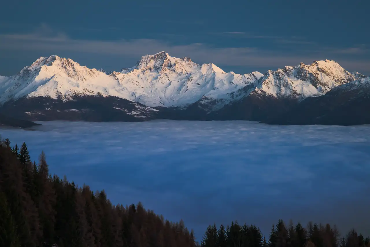 Snow-capped mountains bathed in warm sunlight rise above a vast sea of clouds. In the foreground, a dark forest of evergreen trees forms a rugged border against the misty landscape. The sky is clear, transitioning from a deep blue at the top.