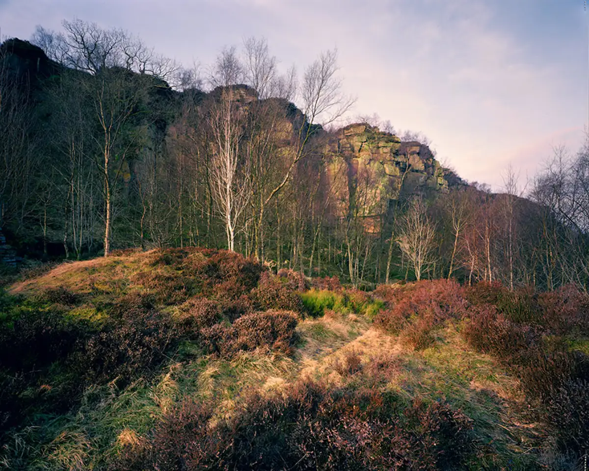 Solitude sometimes is