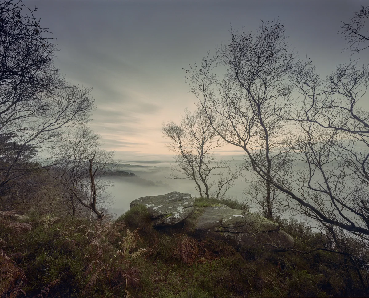 Lichen-covered gritstone outcrop on a misty moorland edge at dawn, framed by bare autumn trees above a fog-filled valley