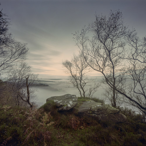 Autumn Past: 