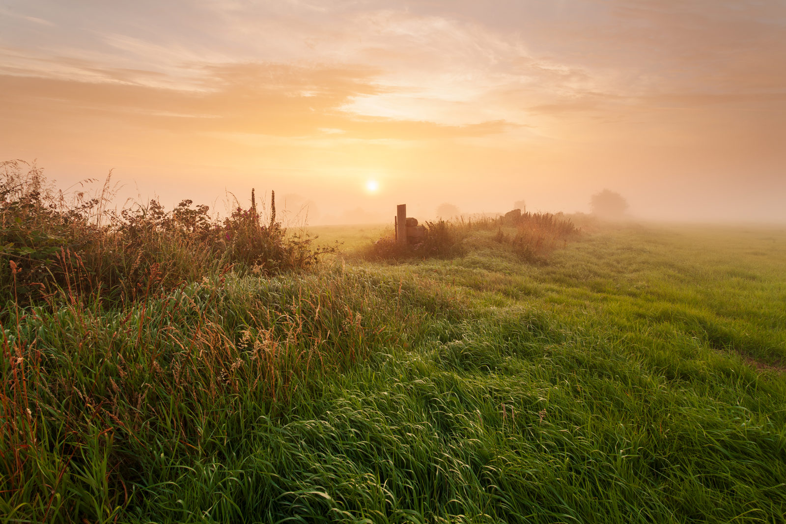 Sunrise over a misty rural landscape with tall grasses in the foreground, leading to a wooden post and wire fence. The sky is painted with warm orange and pink hues, and the sun peeks through a light fog, casting a soft glow over the green fields.