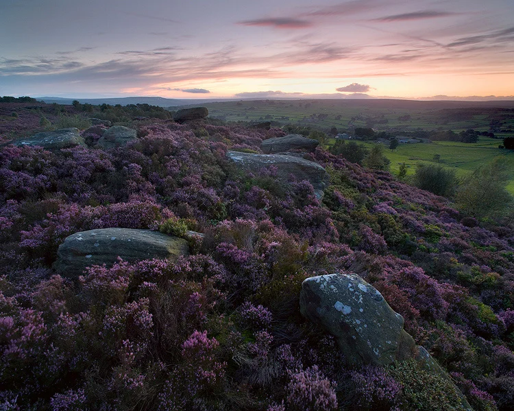Brimham Moor