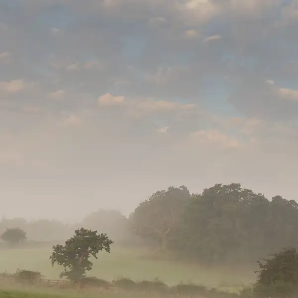 Crimple Valley Misty Summer Morning