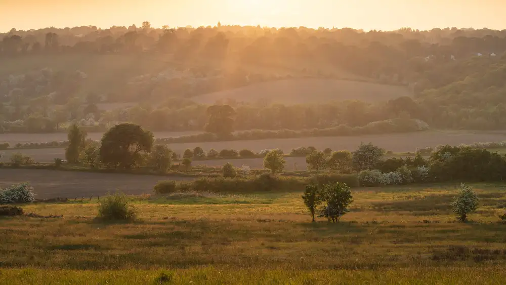 Rolling countryside with fields and woodlands bathed in warm, golden light during sunrise or sunset. A soft haze blankets the distant hills, creating a serene and tranquil atmosphere. Scattered trees and bushes dot the foreground, with gentle undulations visible across the landscape.