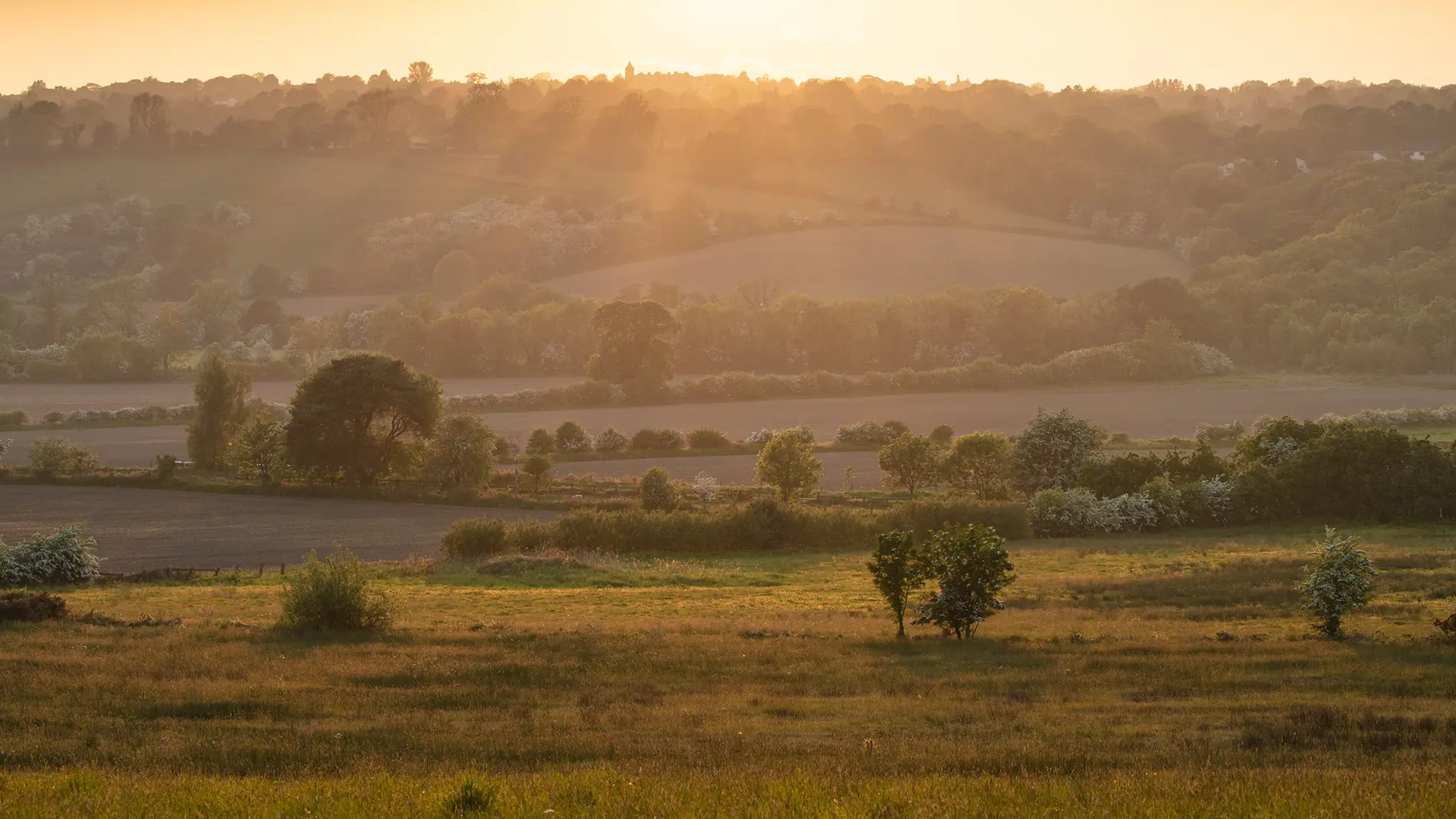 Rolling farmland and hedgerows bathed in golden sunrise haze, with a hilltop village on the horizon in spring