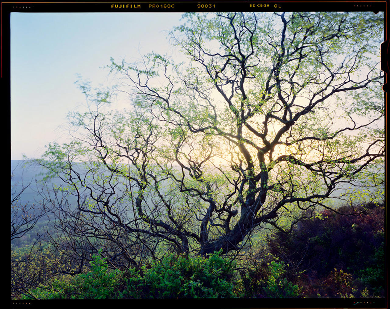 Silence is another way