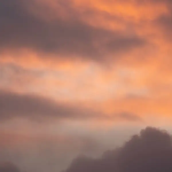 Winter skies