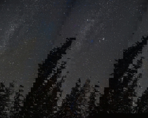 Nightscapes: In this night-time snapshot, a star-speckled sky blankets snow-dusted evergreen trees in the Aosta Valley, Italy. The Milky Way appears as a cloudy streak of stars, adding a celestial glow to the tranquil mountain scene. a person flying through the air on a snow covered slope