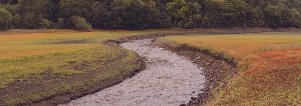 Winding river through exposed reservoir bed with russet grasses and dense woodland under overcast autumn light