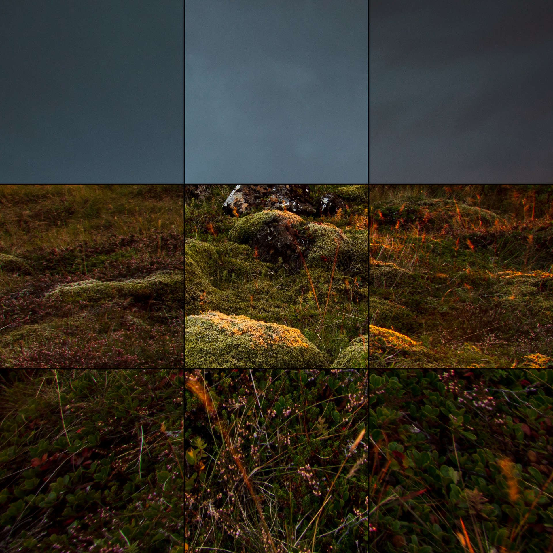 Canon 11-24mm f/4 L lens image quality at 15mm f/13