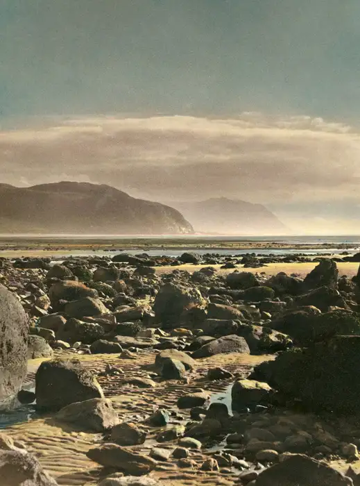 Rocky Shores
