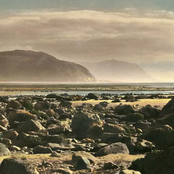 Rocky Shores